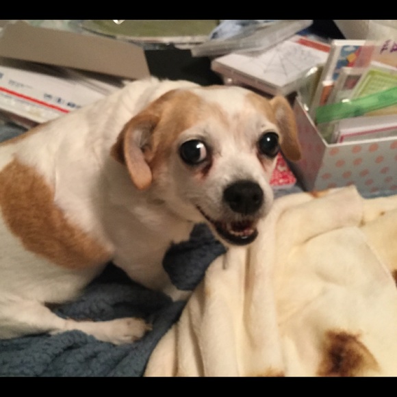 Meet your Posher, Kelly - Picture 3 of 7